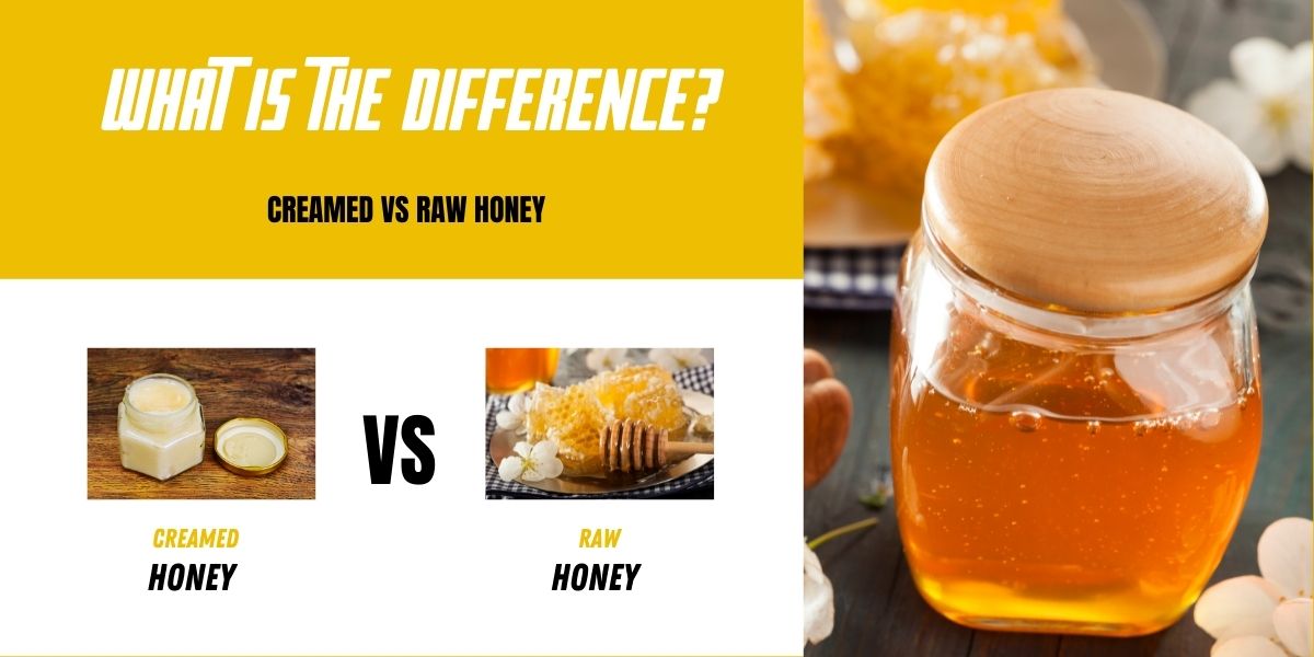 Creamed Honey vs Raw Honey What Is The Difference?