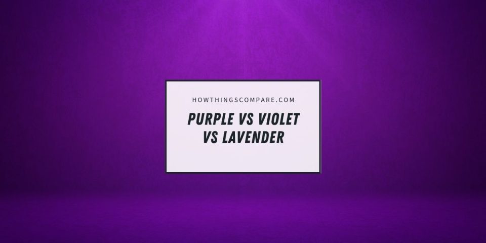 Purple vs Violet vs Lavender - What Are The Differences ...