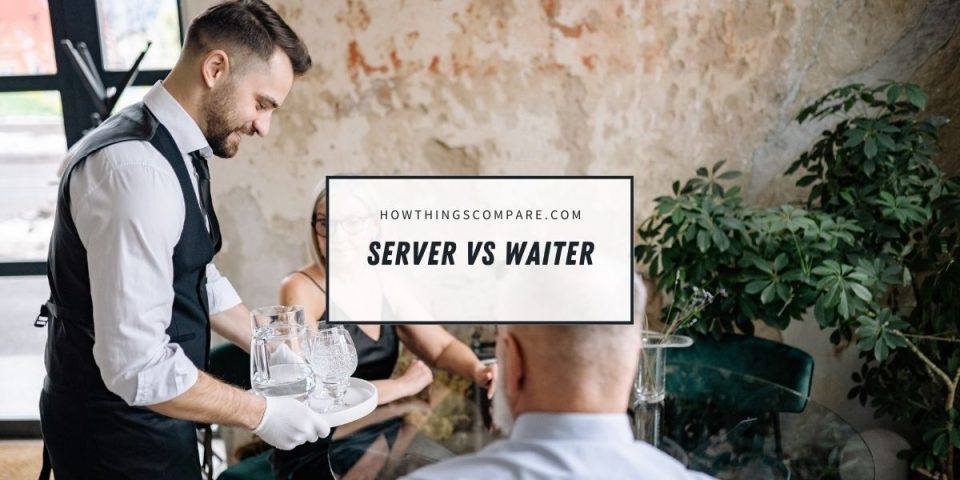 What Is The Difference Between A Server And A Waiter ...