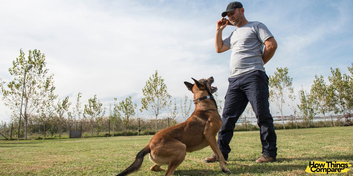 Guard Dogs vs Watchdogs What Are The Differences?