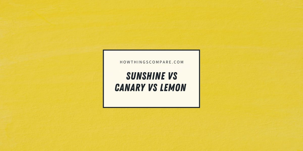 sunshine-vs-canary-vs-lemon-shades-of-yellow-explained-paint-color