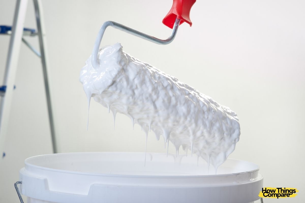 Paint Brush vs Roller Which One Should I Use?