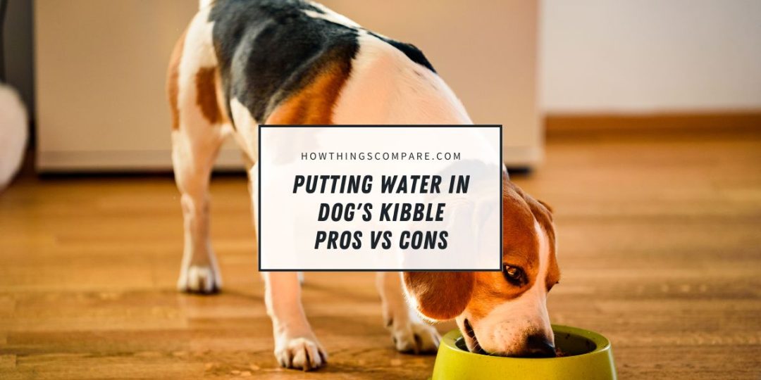 Putting Water In Dog's Kibble What Are The Pros And Cons