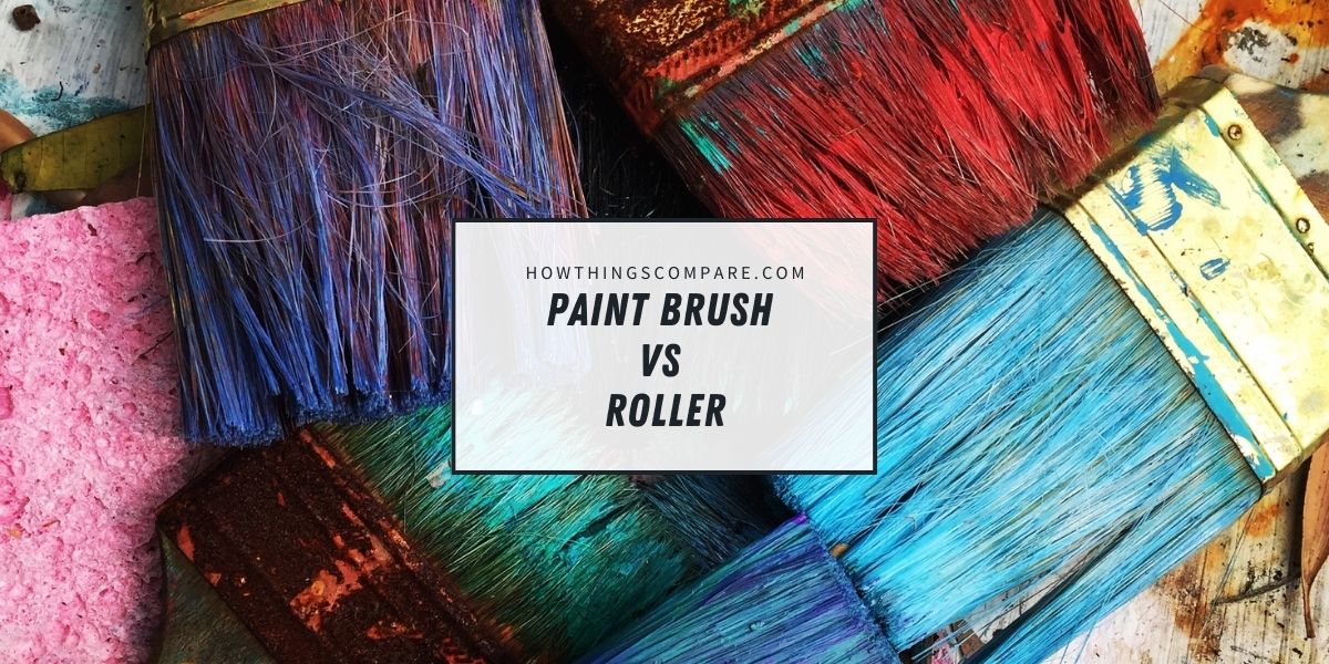Paint Brush vs Roller Which One Should I Use?