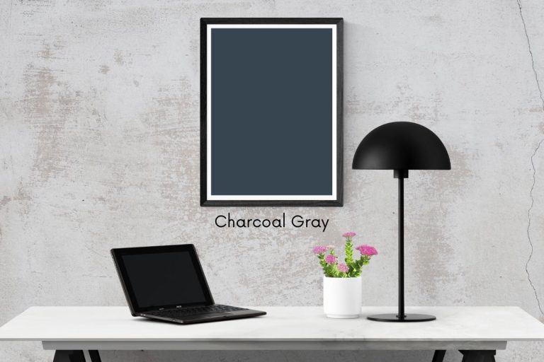Slate Gray vs Dark Gray vs Charcoal Differences Explained