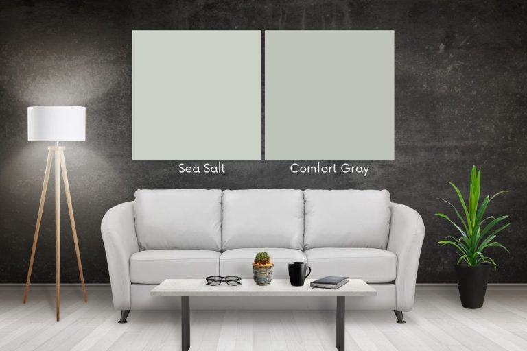 Sea Salt vs Comfort Gray Color Comparison Guide