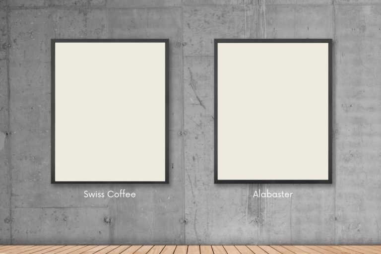 Swiss Coffee vs Alabaster Colors Comparison Guide