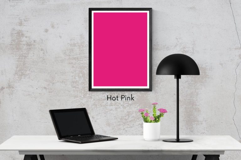 Soft Pink vs Hot Pink vs Fuchsia Shades Of Pink Explained