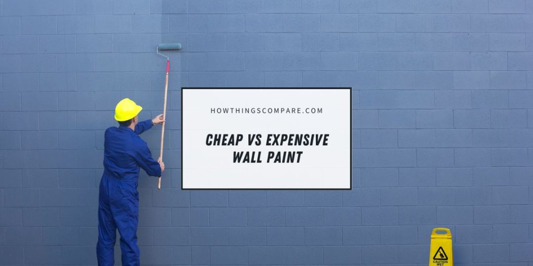 Cheap vs Expensive Wall Paint Is The Extra Cost Worth It