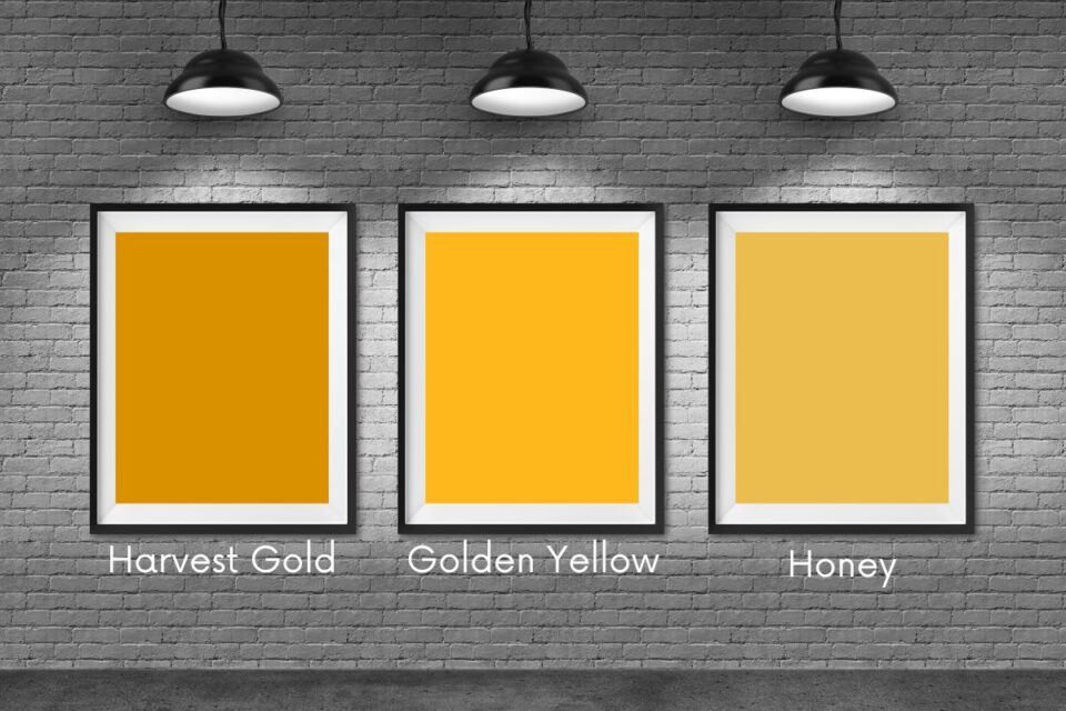 12 Dark Yellow Paint Colors Compared