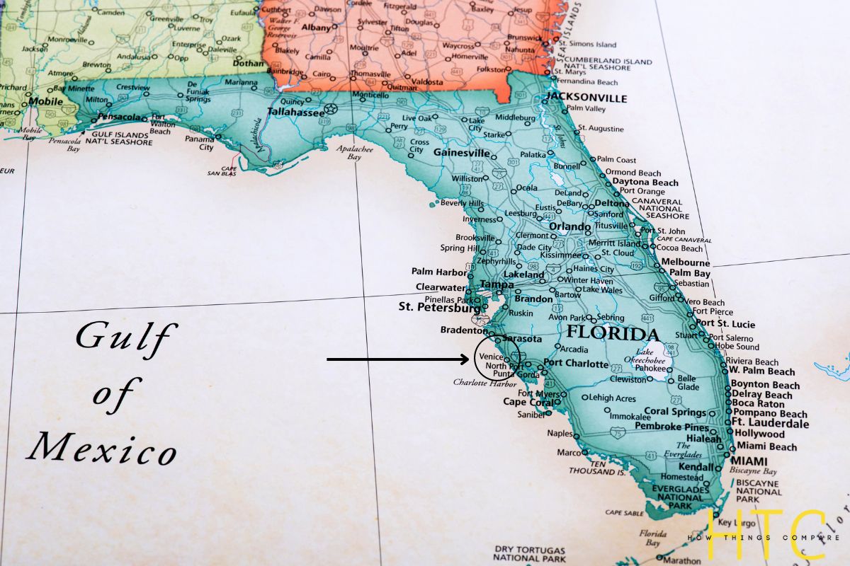 Pros And Cons Of Living In Venice, Florida