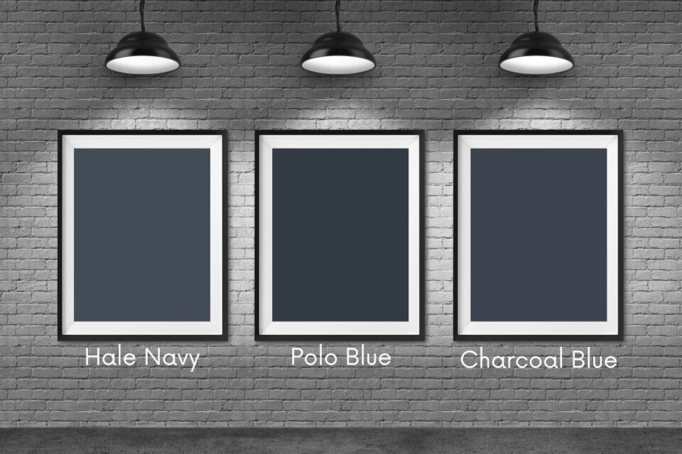 Hale Navy vs Polo Blue vs Charcoal Blue Colors Compared