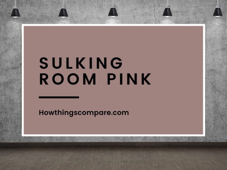 Cinder Rose vs Sulking Room Pink Paint Colors Compared